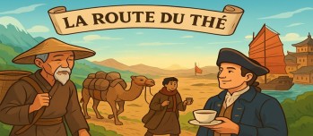 La Route du Thé : voyage entre montagnes et océans